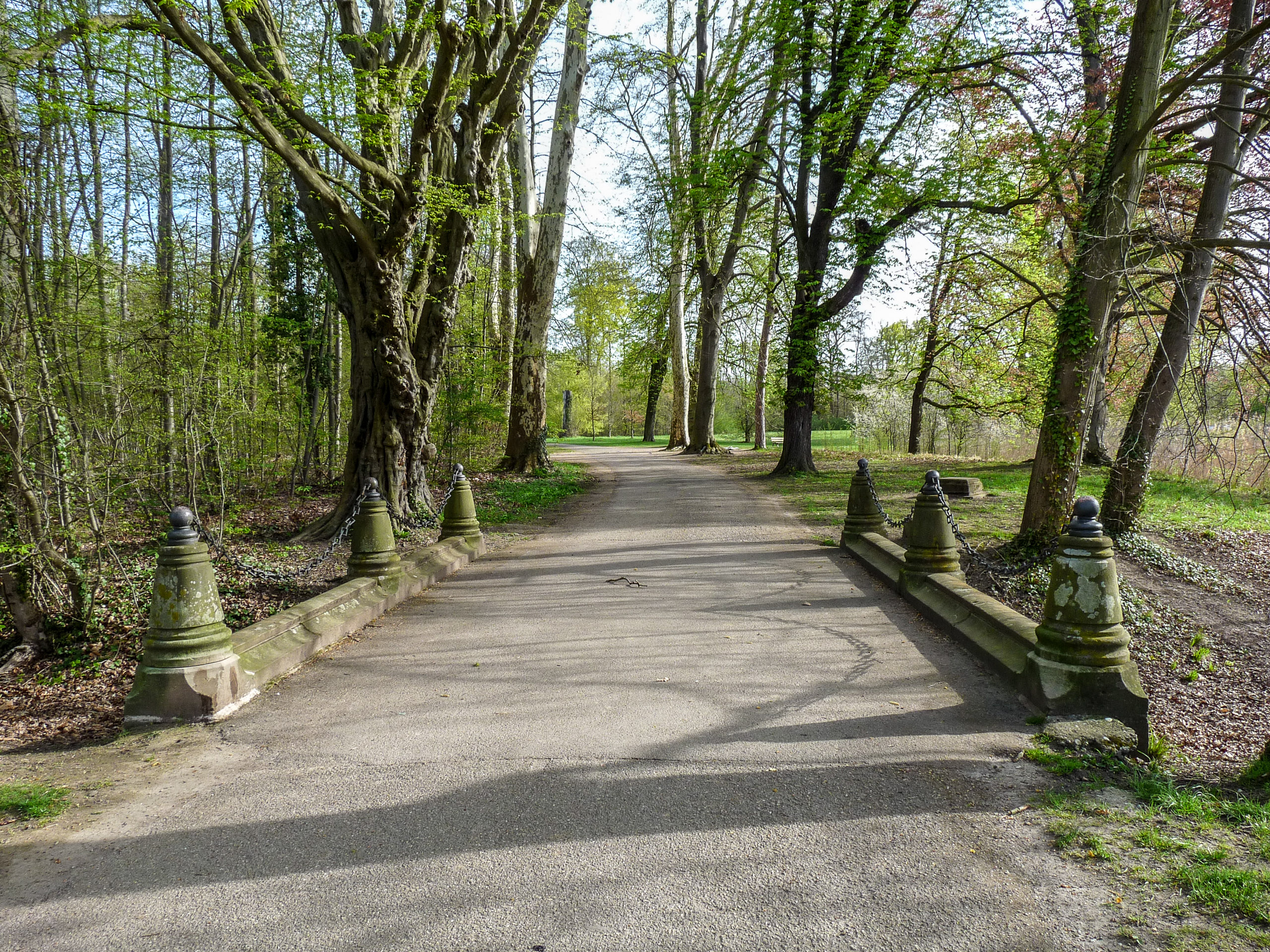 20180415092458 P1110090